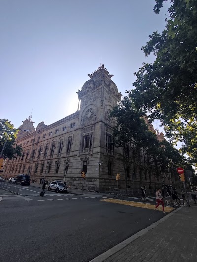 Olavarriaga Abogados