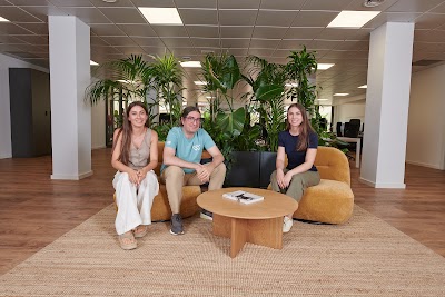 La Teva Web