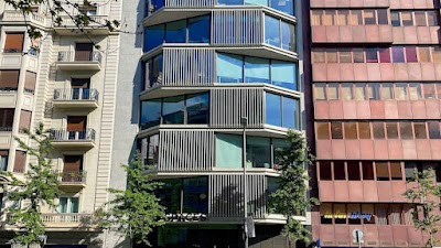 Asesoría y Consultoría Fénix