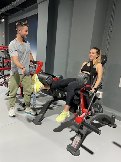 DavidFit