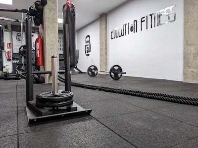 Evolution fitness