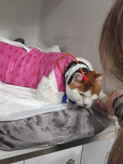 AniCura Ars Veterinaria Hospital Veterinari