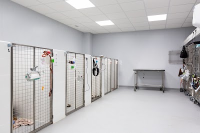 AniCura Glòries Hospital Veterinario
