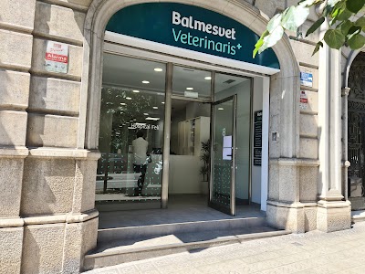 Balmesvet Veterinaris Hospital 24 H.