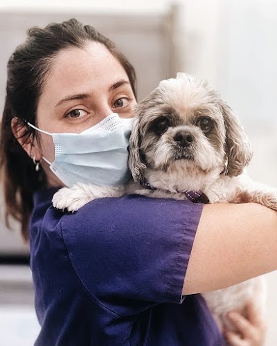 Balmesvet Veterinaris Hospital 24 H.