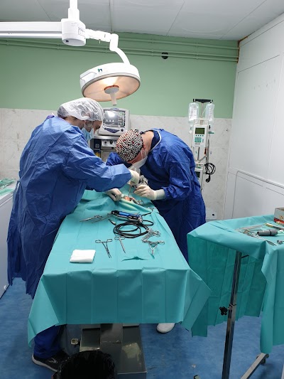 Clinica Veterinaria Dog Moixet