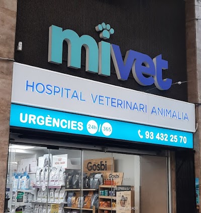 Hospital Veterinario MiVet Animalia