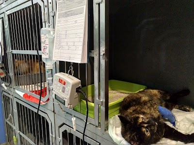 Hospital Veterinario Montjuïc