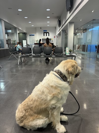 Hospital Veterinario Montjuïc