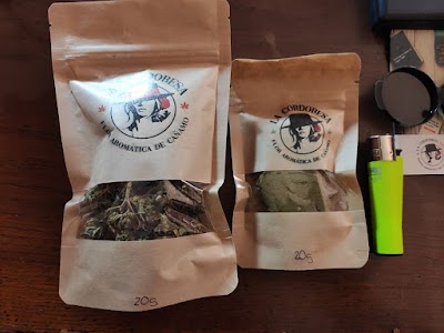 ProfesorCBD