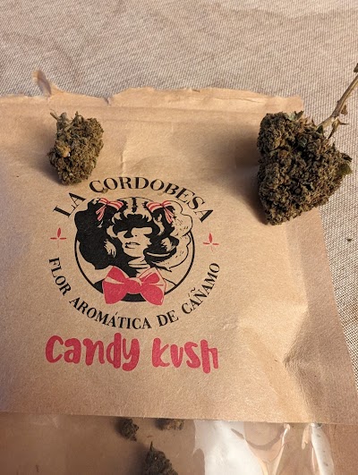 ProfesorCBD