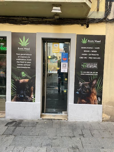 Roots Weed CBD-SEEDS SHOP