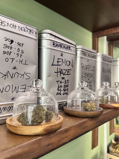 Roots Weed CBD-SEEDS SHOP