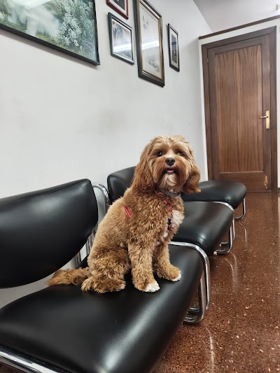 Sanz Veterinaris