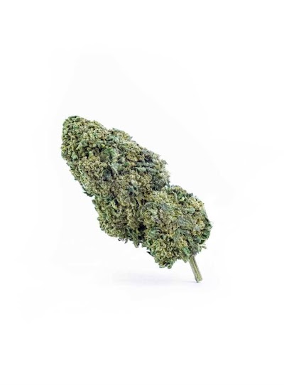 The Green Muse C.B.D.