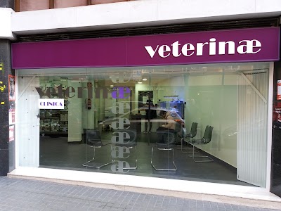 Veterinae Clínica Veterinària