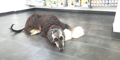 Veterinae Clínica Veterinària
