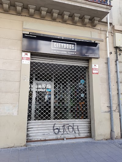CityDogs Store - El Clot